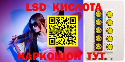 мдпв Гусев
