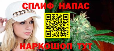 мдпв Гусев
