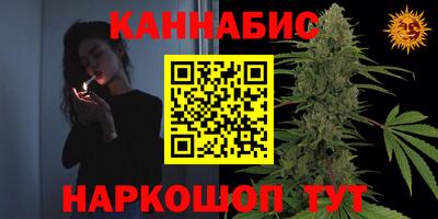 мдпв Гусев