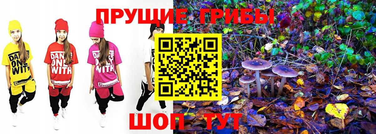 Галлюциногенные грибы мухоморы Волоколамск